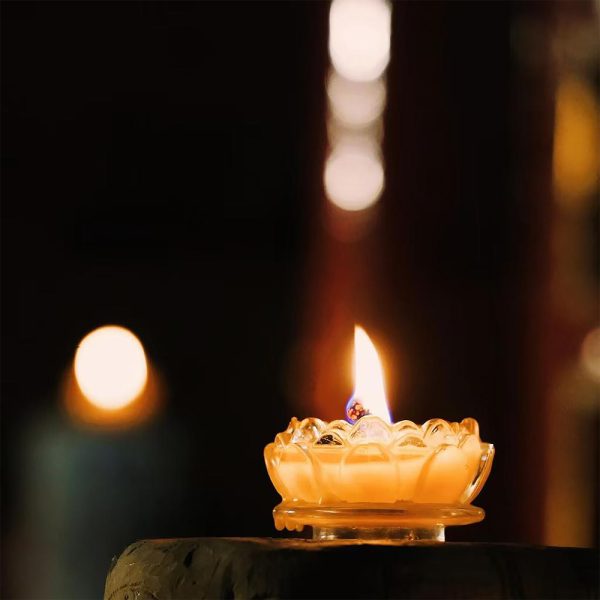 Offering lamps for blessings 🙏 Nurturing love and compassion 💗 - Image 4